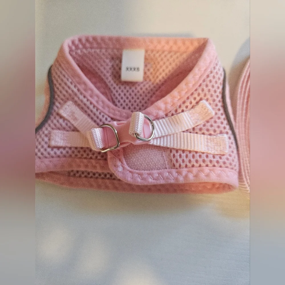 Pink Cat Harness And Leash